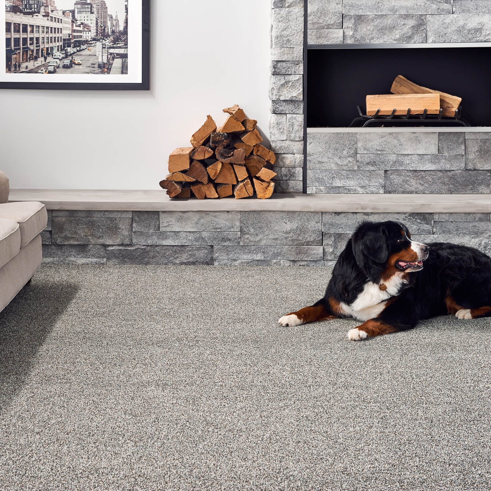 Pet friendly floor | Dalton Flooring Outlet