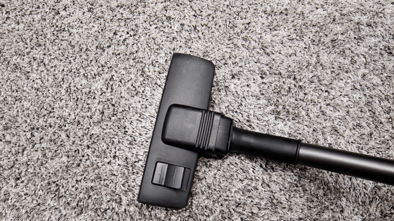 Carpet cleaning | Dalton Flooring Outlet
